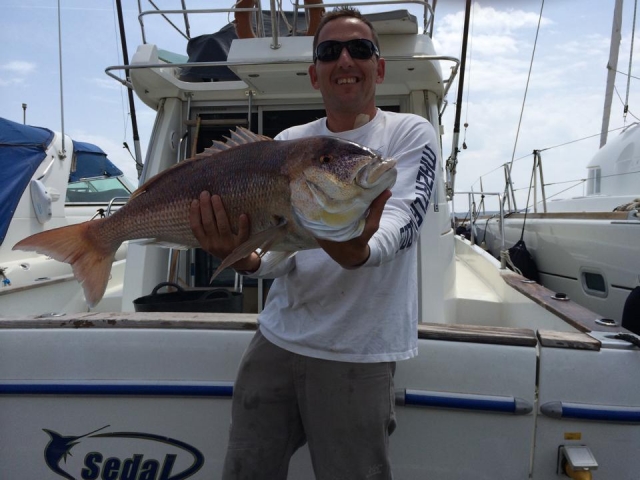 Showing the fish